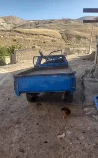 نیسان تصادفی