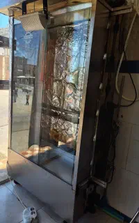 فر  جوجە گردان مرغ بریانی