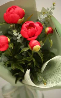 خط رند همراه اول (شمال)