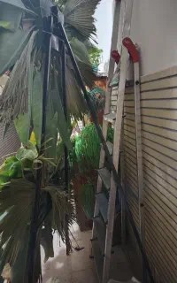 استند فلزی تاج گل
