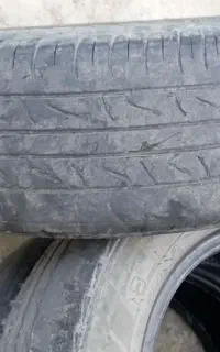 لاستیک پرایددرحد
