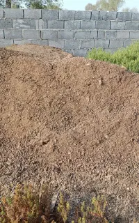 کود حیوانی بز و میش