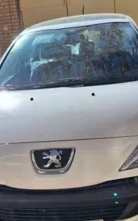 207 پانا با رینگ سفید 405