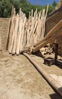 چوب