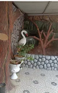 اجرای نمای سیمانی،کباب پز،آبشار، آلاچیق با رنگ