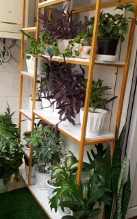 استند گل فلزی