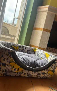 خانه گربه
