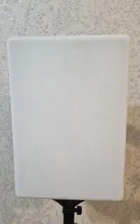 رینگ لایت