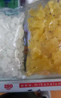 نبات