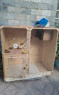اسباب بازی عروس هلندی وخرگوش