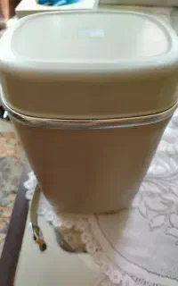 ظرف غذا