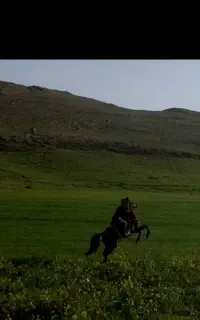 خرید و فروش اسب همه قیمت و نژاد و  توضیحات رو بخون