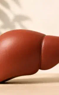 مشکلات کبد چرب