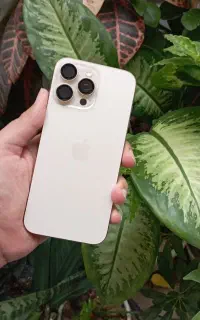 16پرومکس
