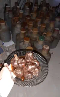 سیر ترشی ۷ساله