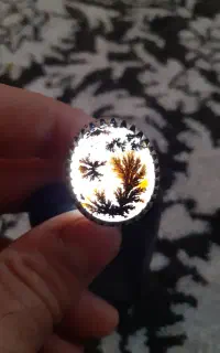 فروش انگشتر شجر درجه یک عتیقه