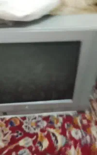 سالمه