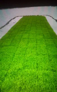 ۱۱۱۱۱