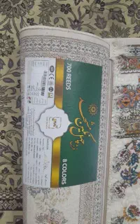 قرش نو ۶ متری