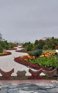 برقکار تک فاز و سه فاز