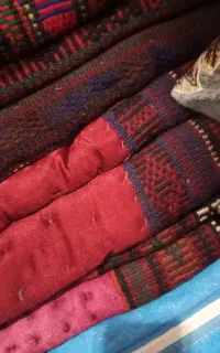۴عددلاف نو