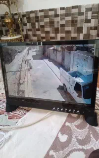 مانیتور