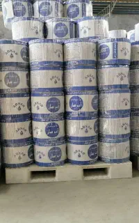 پیازکاری  همراه آبیاری نوارتیپ