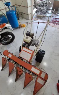 دروگر تارو برنج
