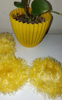 اسکاج
