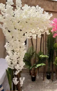 دخچه مصنوعی