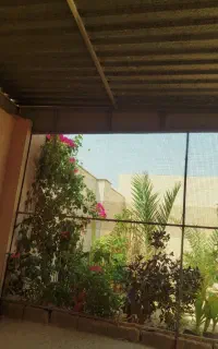 قفس پرنده