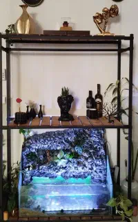 آکواریوم به همراه آبنما