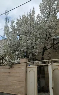 خدمات نظافتی ساختمان های مسکونی،اداری و...پاک نگار
