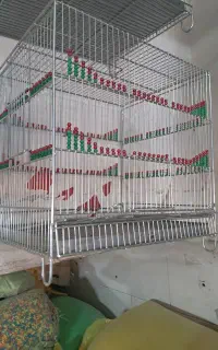 قفس سهره مهره دار