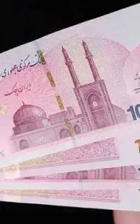 ضامن امورمالی