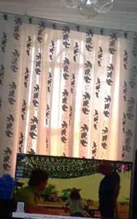 پرده در حد نو