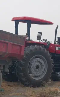 جویای کار
