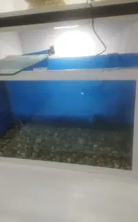 آکواریوم