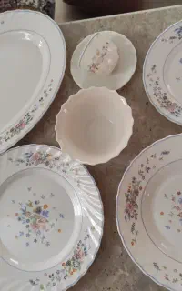 ظروف ارکوپال اصل