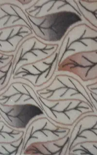 موکت درحدنو
