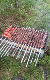 غذای سگ و گربه.
