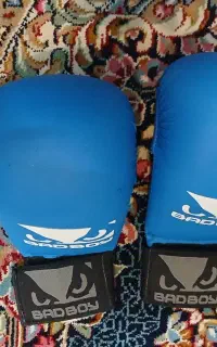 دستکش روپایی