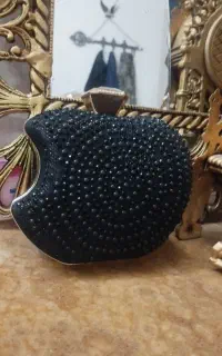کیف مجلسی