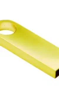فلش گمشده