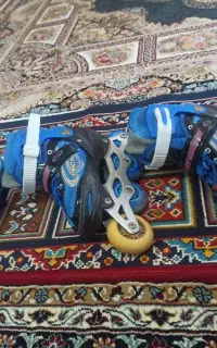 اسکیت خارجی اصل
