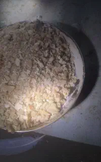 نان خشک اورگانیت بدونه کپک زدگی علت نبود برق عک