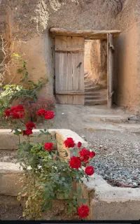 نظافت راه پله و مشاعات انجام می‌شود