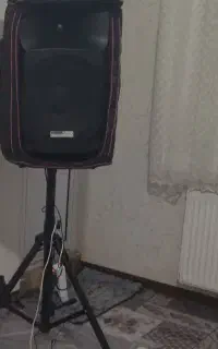 باند اکتیو داینا پرو ۱۵ اینچ