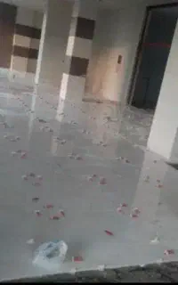 کاشی و سرامیک