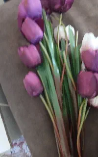 ۴ شاحه گل